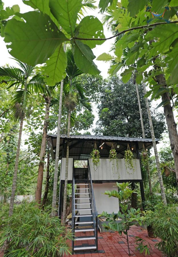 Serenity Villa And Treehouse Palakkad Kültér fotó