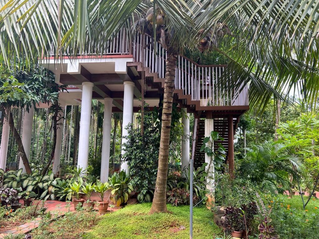 Serenity Villa And Treehouse Palakkad Kültér fotó