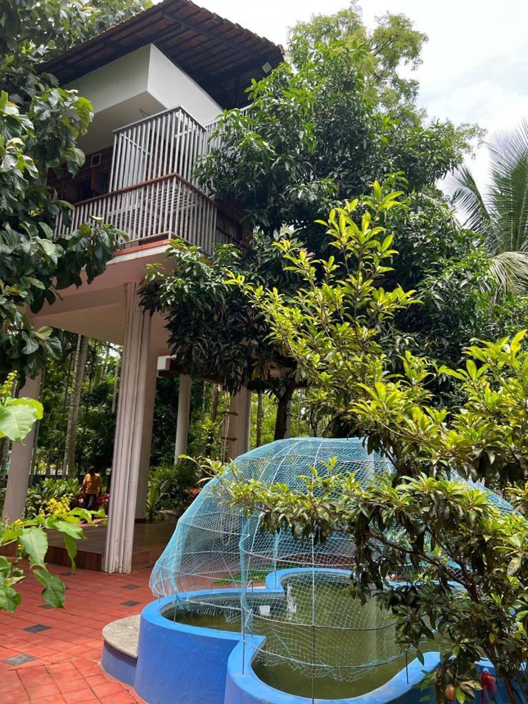 Serenity Villa And Treehouse Palakkad Kültér fotó
